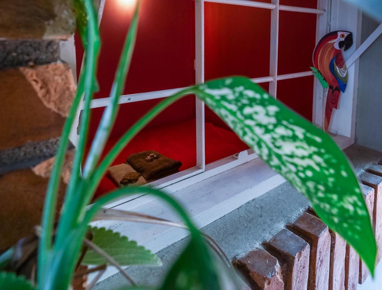 Hostel Tropico De Capricornio - Itagua Ubatuba Exteriör bild